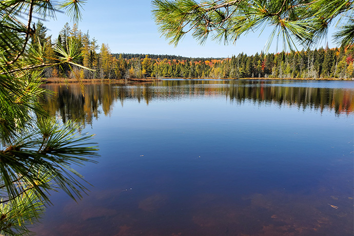 Gabet Lake in fall with pine needles in the foreground.