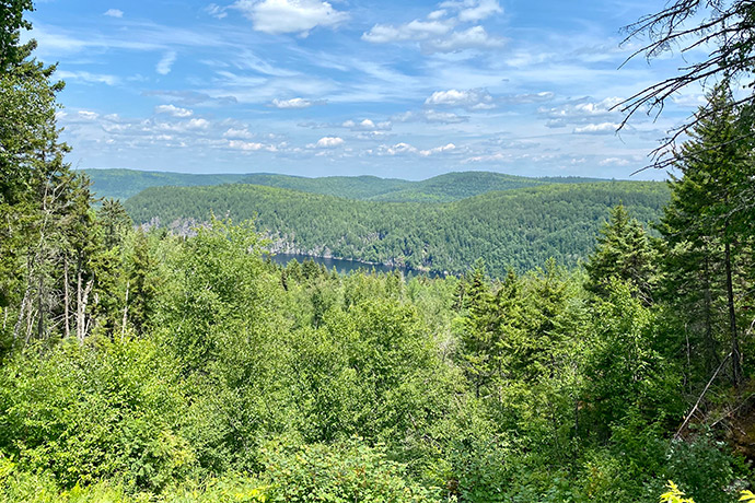 Beautiful summer landscape of a lake, a forest and hills.