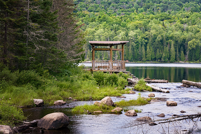 A wooden pergola by a stream surrounded by forest