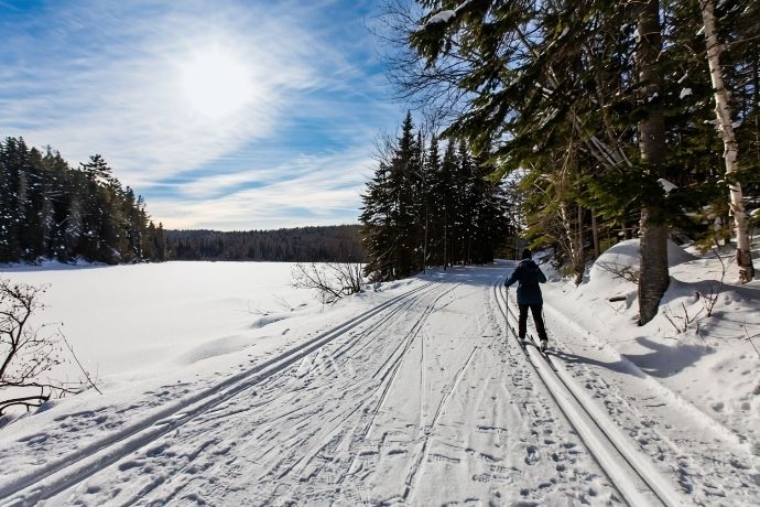A person on cross-country skis, seen from behind, is moving along a snowy trail that borders a frozen snowy lake, under a sunny blue sky surrounded by a forest.