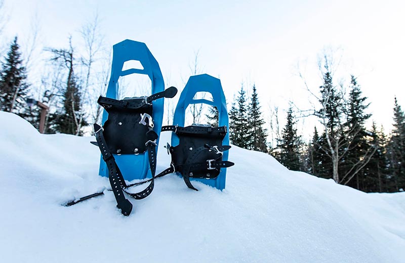 Des raquettes bleues sont enfoncées debout dans la neige dans la forêt.