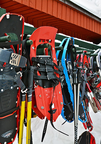 Snowshoes hung on a wall