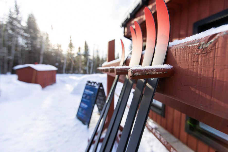 Skis leaning on a wall.