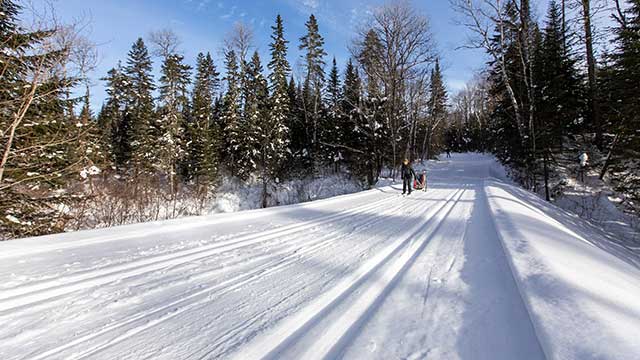 Des personnes font du ski de fond dans un sentier en forêt.