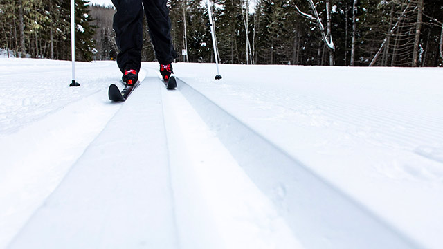Plan rapproché d'une personne qui fait du ski de fond dans un sentier.