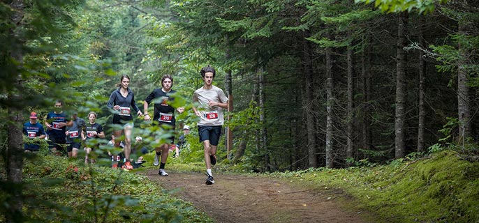 People are running on a trail in the forest.