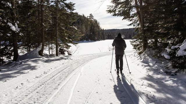 Une personne fait du ski de fond dans la forêt près d'un lac.