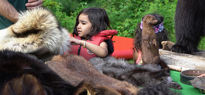 Une jeune fille avec une veste de sauvetage qui touche de la fourrure d’un animal du parc. Un naturaliste est près d’elle pour lui parler des différents animaux que l’on retrouve au parc national de la Mauricie.