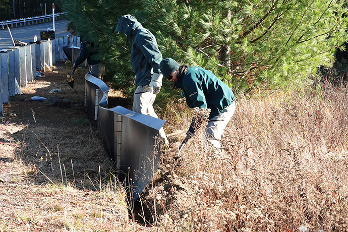 Employees installing drift fencing near the road.