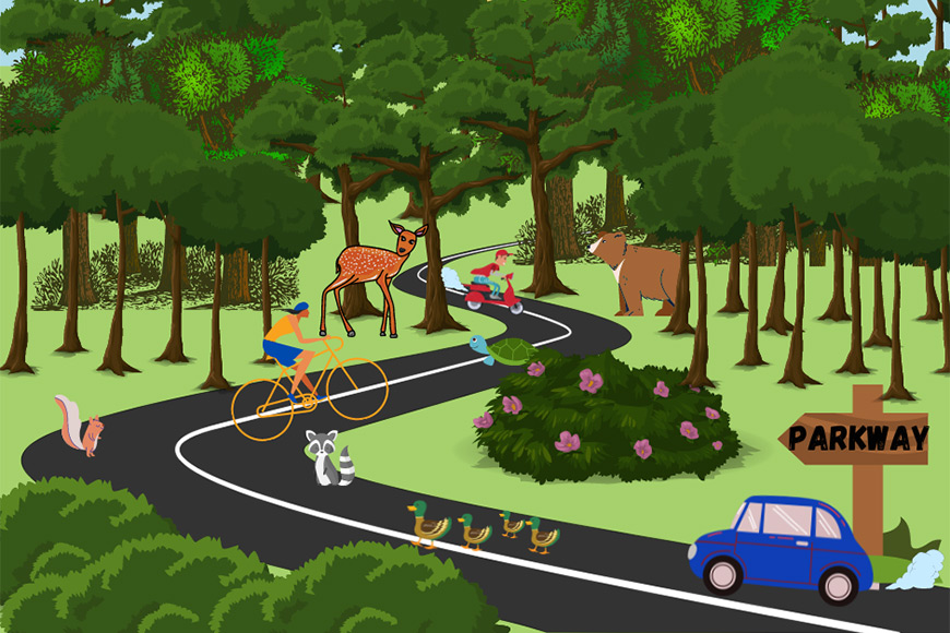 Illustration of Parkway users moving among animals at la Mauricie National Park.