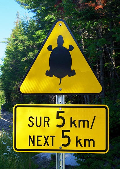 Signalisation routière qui indique la présence de tortues au parc national de la Mauricie.