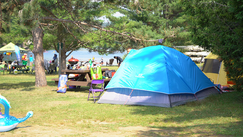 Une tente bleue sous des pins