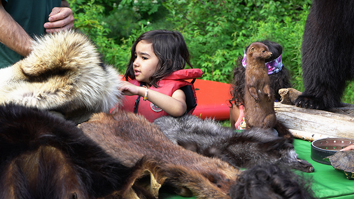 A young girl palpates wild animals furs.