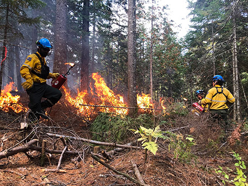Two men in protective uniforms light a fire in the forest using a manual device.