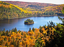 A lake landscape in autumn with reddish forests