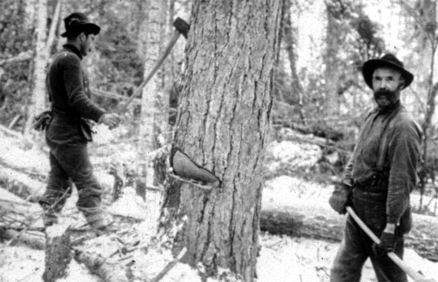 Two men chopping a tree down with axes.