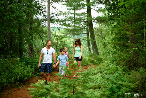 A young family hikes in the forest