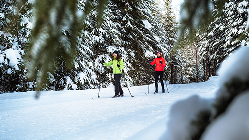 Young couple skiing in a snowy trail