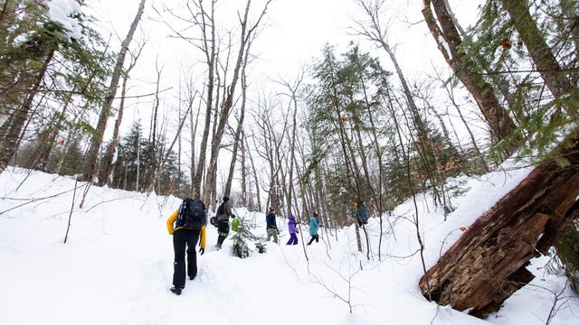 Des randonneurs marchent dans la forêt sur un sentier pédestre du parc national de la Mauricie.