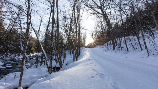 Cross-country ski trail in La Mauricie National Park bordering a thawed creek in winter with the setting sun in the center of the frame. The trail is surrounded by leafless trees.