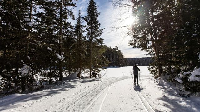 Un homme avec un manteau gris fait du ski de fond classique sous un ciel ensoleillé au parc national de la Mauricie. Il est entouré de conifères et on aperçoit le lac du Pimbina en arrière-plan.