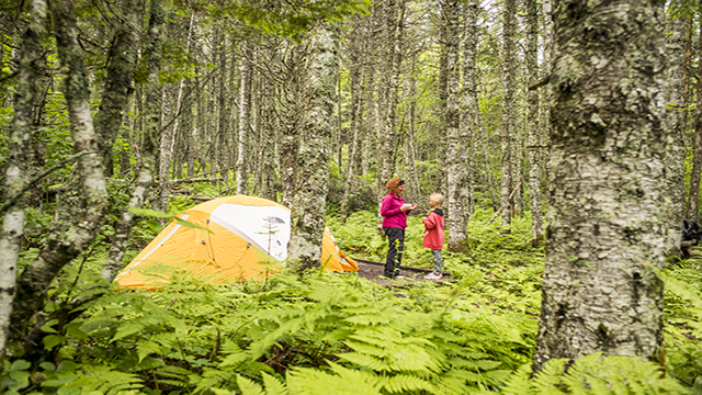 Une femme et sa fille en camping dans le bois