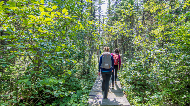 Hiking in the forest at the Mingan Archipelago
