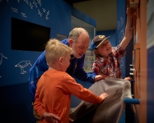 A dad and his two boys observed sealskin