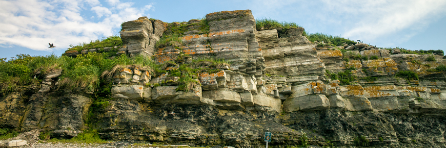 Limestone stratified cliff on Île aux Perroquets.