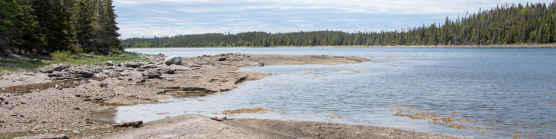 Vue de l'île à la Chasse