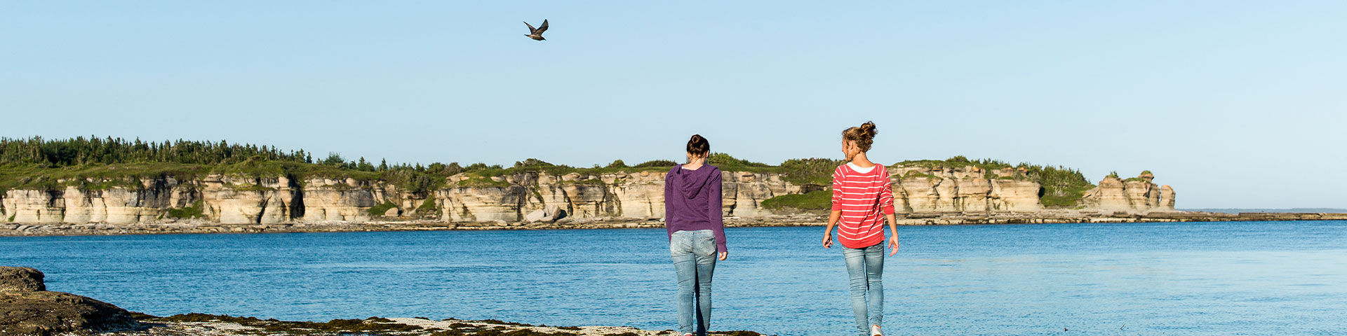 View from Petite île au Marteau