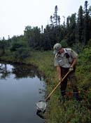 Park Warden gathering samples with a net out of a water lake.