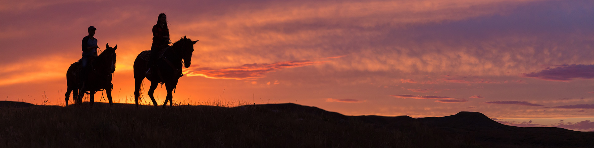 Silhouette of visitors horseback riding during sunset on the scenic open range at West Block, in Grasslands National Park.