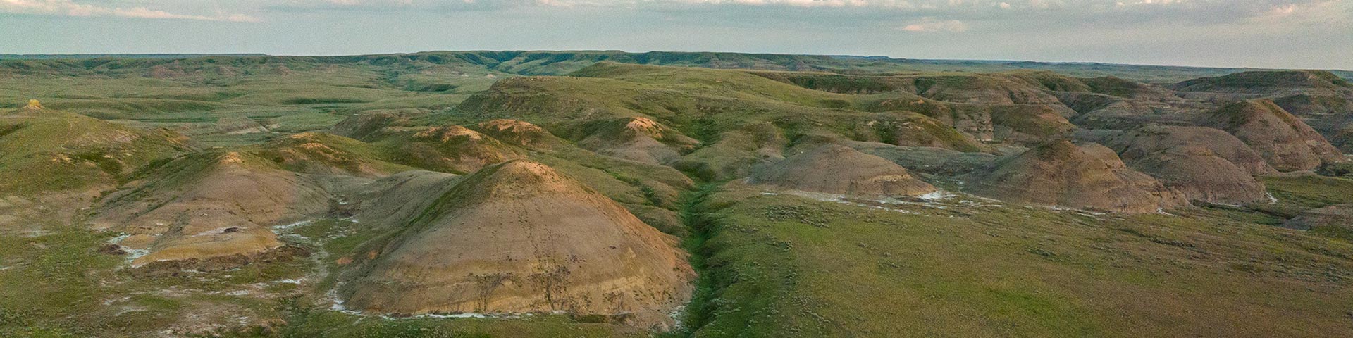 Sandy hills and old dry riverbeds surrounded by green grasses in the Saskatchewan Badlands