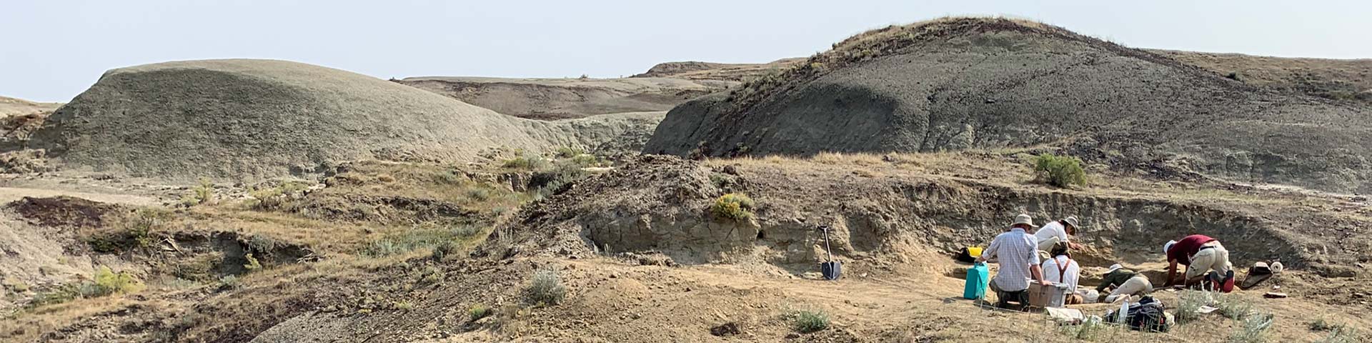 Visitors and paleontologists working on a fossil dig site in Grasslands National Park.