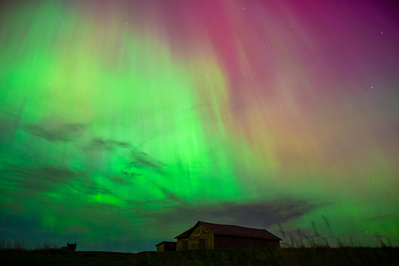 The historic buildings of the Larson Homestead are silhouetted against the vibrant green, pink and yellow of the Aurora Borealis. 