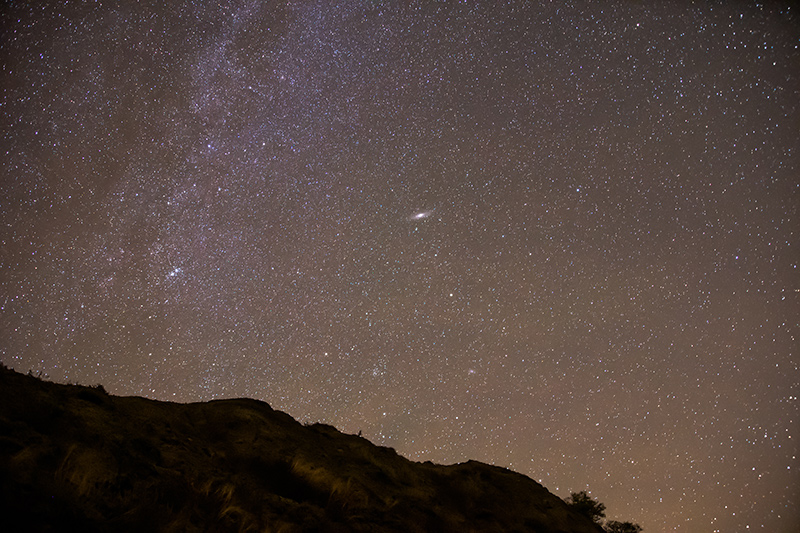 A star filled sky in Grasslands National Park with visible star clusters and planets that appear as brighter white dots in the sky.
