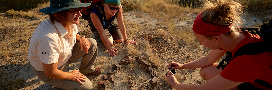 Interpreter showing fossils to hikers.