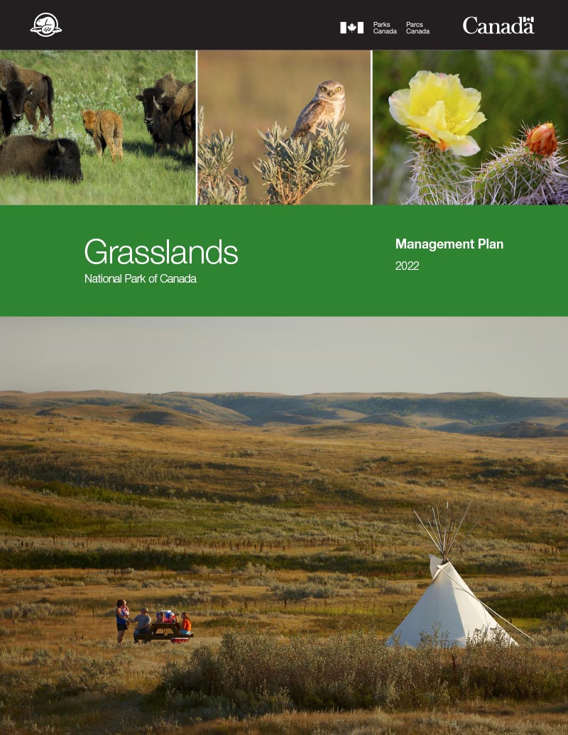 cover page of the Grasslands National Park Management Plan, 2022