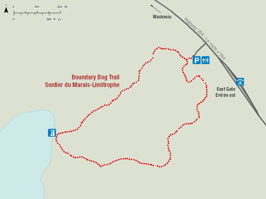 Boundary Bog Trail