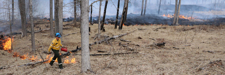 Parks Canada employee conducting a prescribed fire