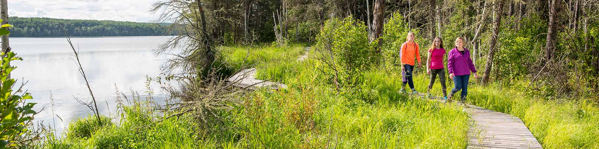 A family walks on a boardwalk on the Mud Lake Trail duing a summer day in Prince Albert National Park.