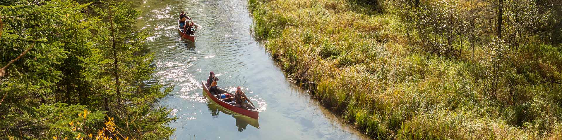 Un groupe de jeunes femmes adultes en excursion en canoë sur la rivière Kingsmere se dirige vers le lac Kingsmere dans l’aire de nature sauvage Kingsmere, au parc national de Prince Albert. 