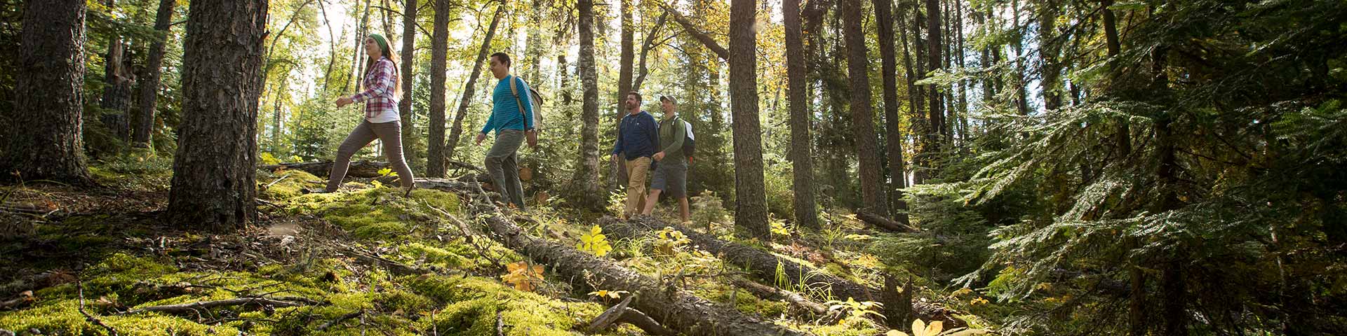 A group of adults hiking the Narrows Peninsula Trail. Prince Albert National Park. 