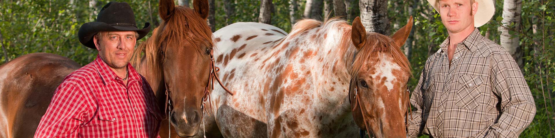 Cowboys and their horses.