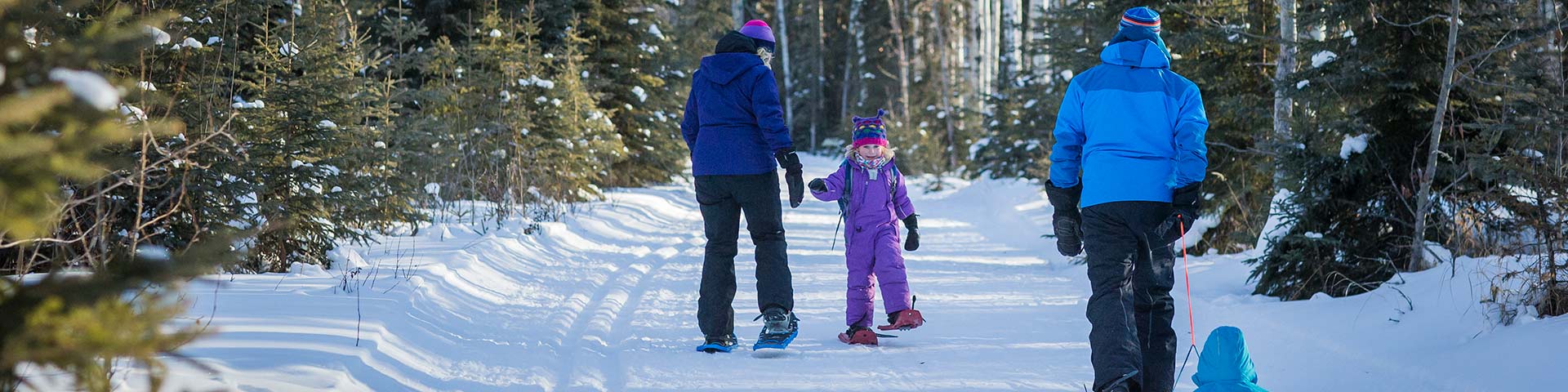 Une jeune famille de promeneurs en raquettes marche dans la forêt.