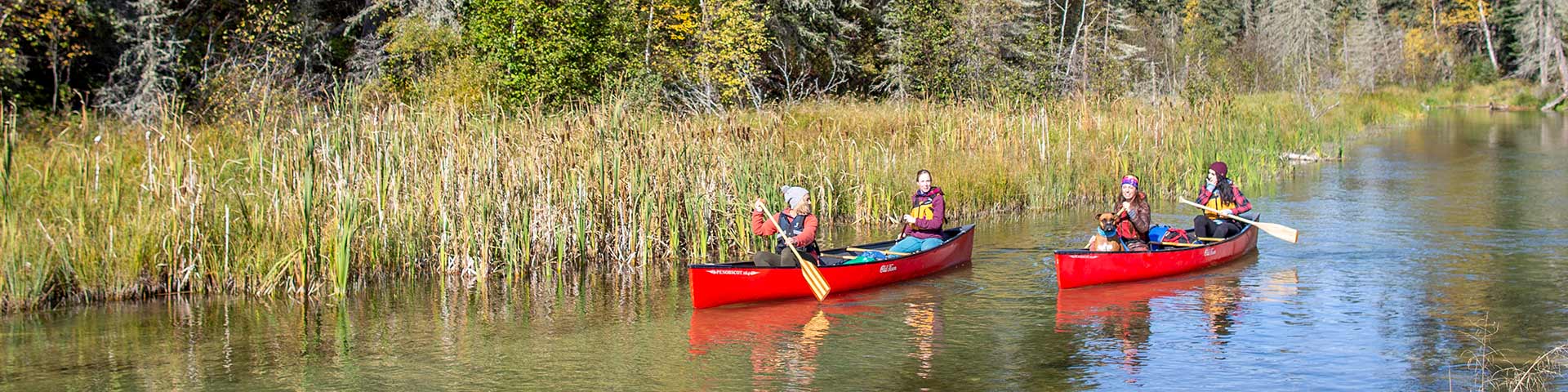 Un groupe de jeunes femmes adultes en excursion en canoë sur la rivière Kingsmere se dirige vers le lac Kingsmere dans l’aire de nature sauvage Kingsmere, au parc national de Prince Albert. 