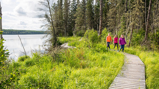 Une famille marche sur une promenade de bois sur le sentier du Ruisseau-Mud pendant une journée d’été, au parc national de Prince Albert.