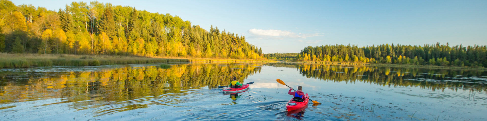 Two people paddle red kayaks on Amiskowan lake. There are yellow and green trees on the horizon.