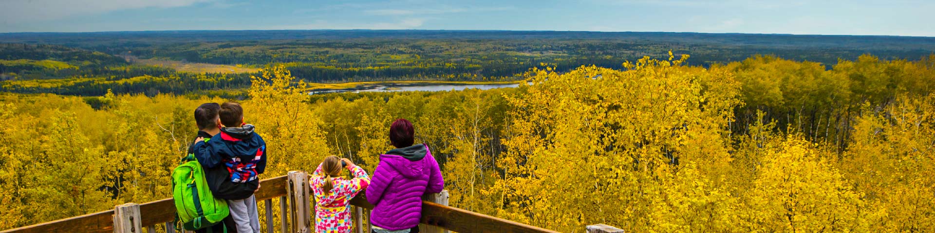 Deux adultes et deux enfants se tiennent côte à côte sur une plate-forme d'observation en bois, contemplant une forêt d'arbres aux couleurs dorées de l'automne qui s'étend à perte de vue.